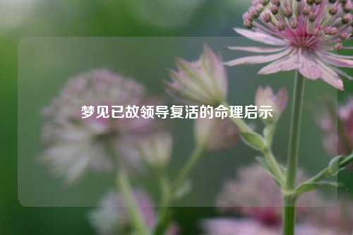 梦见已故领导复活的命理启示